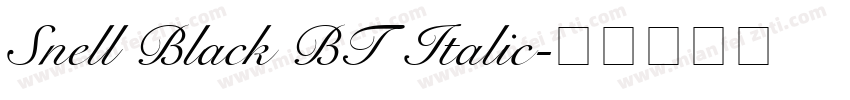 Snell Black BT Italic字体转换